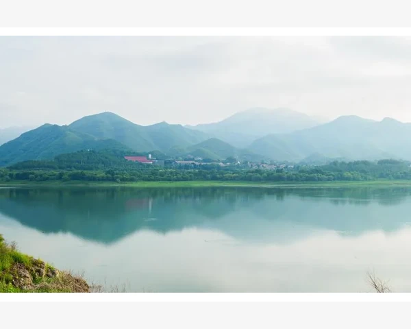 去火清肺喝梨汤：缓解咳嗽，提升免疫力的中医秘方