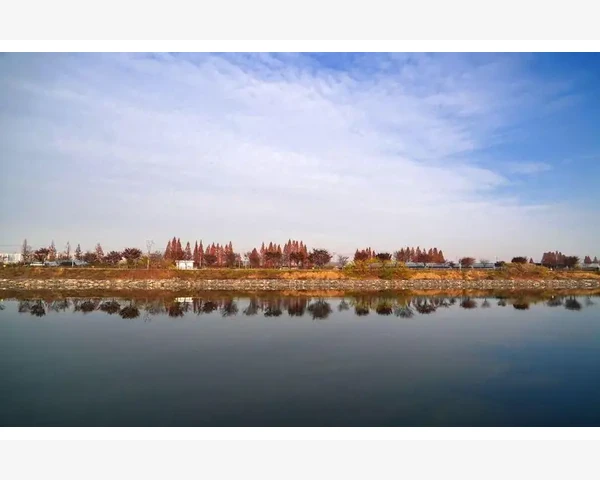 药油驱寒，中医经验传承与现代应用解析